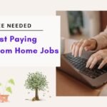 5 Highest Paying Work From Home Jobs