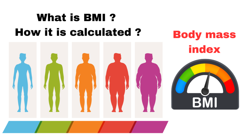 What Is BMI, How It’s Calculated, and Why It Matters